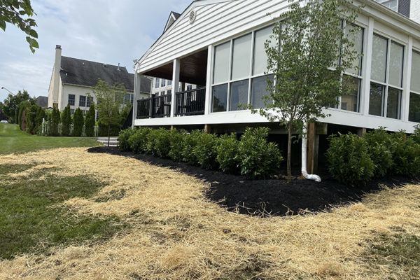 FS Landscape Solutions Project